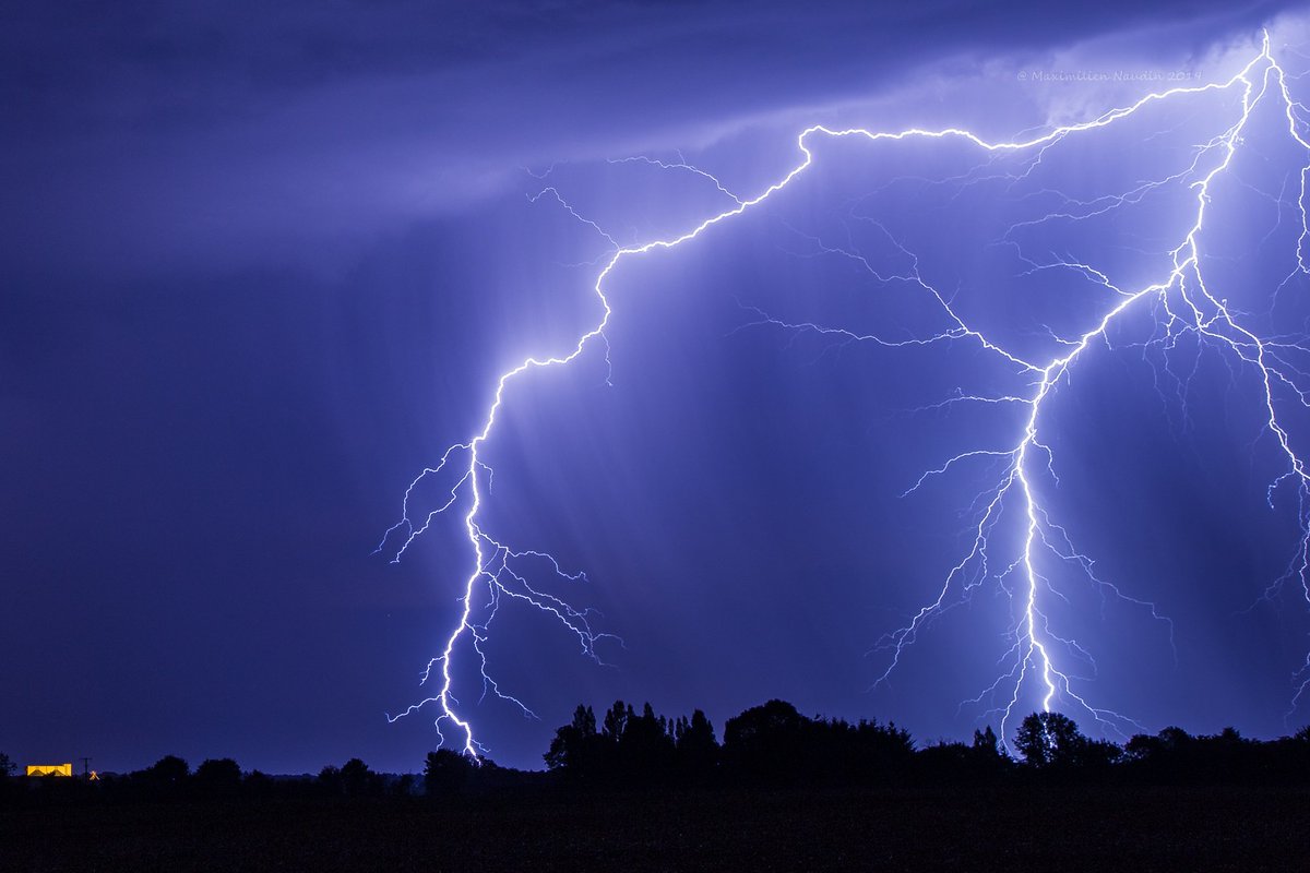 Maximilien Naudin tweet media