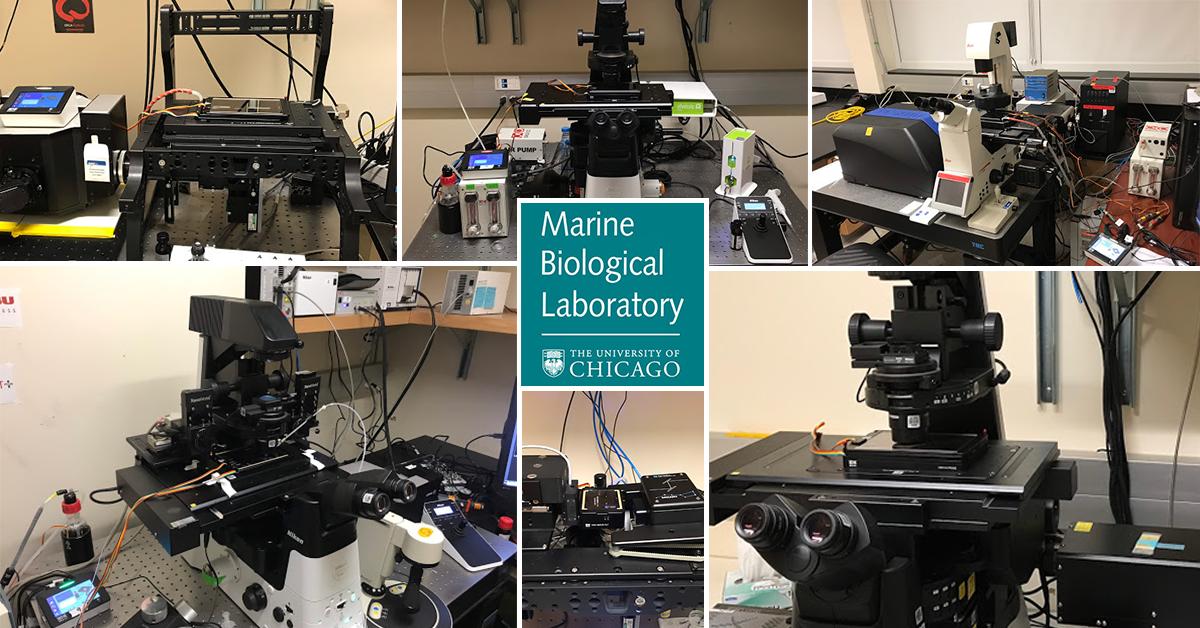 Okolabgroup's tweet photo. Also this year we've been honoured to support extraordinary talent and passion (and fun) @MBLscience courses #SupportingExcellence #MicroscopeIncubators
@MizarImaging @BioVisTech @ASIImaging @NikonInst @LeicaMicro @zeiss_micro @OMIBS_MBL @Embryos_at_work @MBLPhys https://t.co/rlHHoqGH21