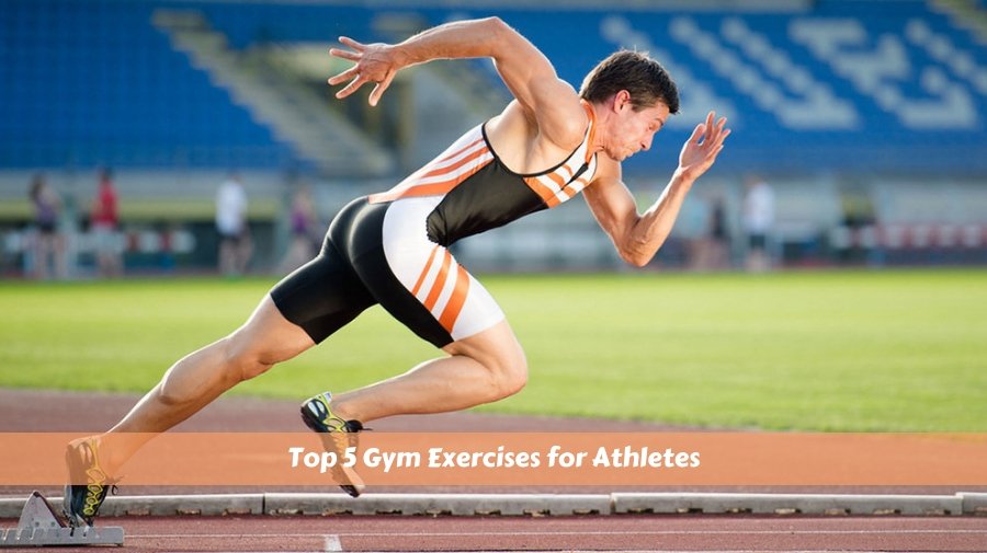 Top 5 Gym Exercises for Athletes, plansportz.com/blog/top-5-gym… #health #gym #GymExercises #Athlete #fitness #Workout #SledPush #Squat #fatBurn #TuesdayMotivation #TuesdayThoughts #gymlife #LifeLessons #life