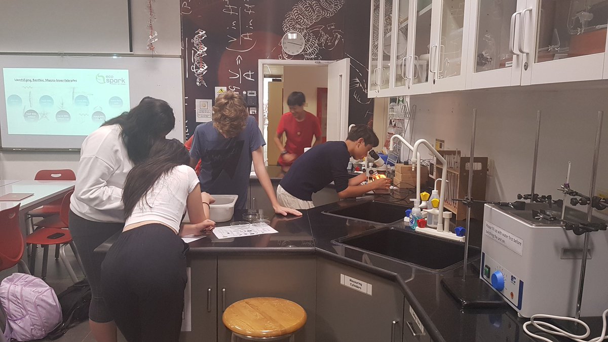 msagostino's tweet image. Today we continued to collect data on Duck Lake - this time looking at what lives in the lake. So much fun identifying BMIs!! #MyWAB #mypscience