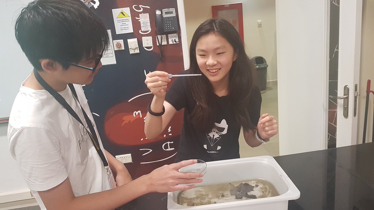 msagostino's tweet image. Today we continued to collect data on Duck Lake - this time looking at what lives in the lake. So much fun identifying BMIs!! #MyWAB #mypscience