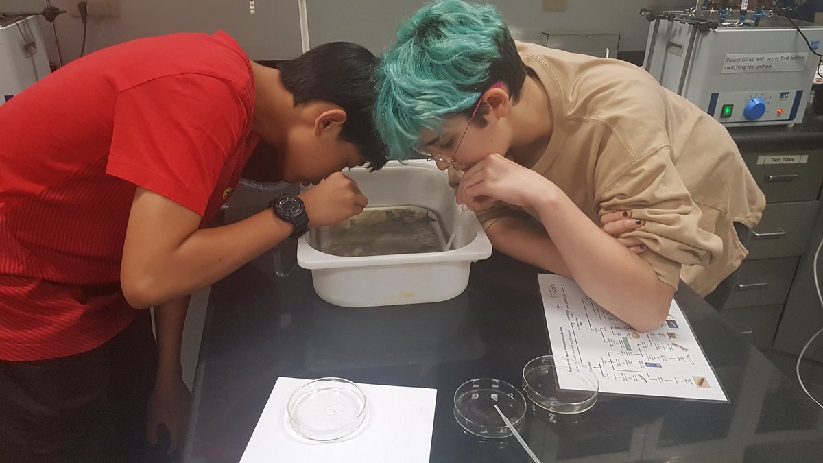 msagostino's tweet image. Today we continued to collect data on Duck Lake - this time looking at what lives in the lake. So much fun identifying BMIs!! #MyWAB #mypscience