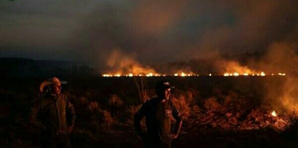 KhanBal12620281's tweet image. #AmazonIsOnFire
Save innocent lives of animals , birds... they need help..
Spread awareness about #AmazonFire