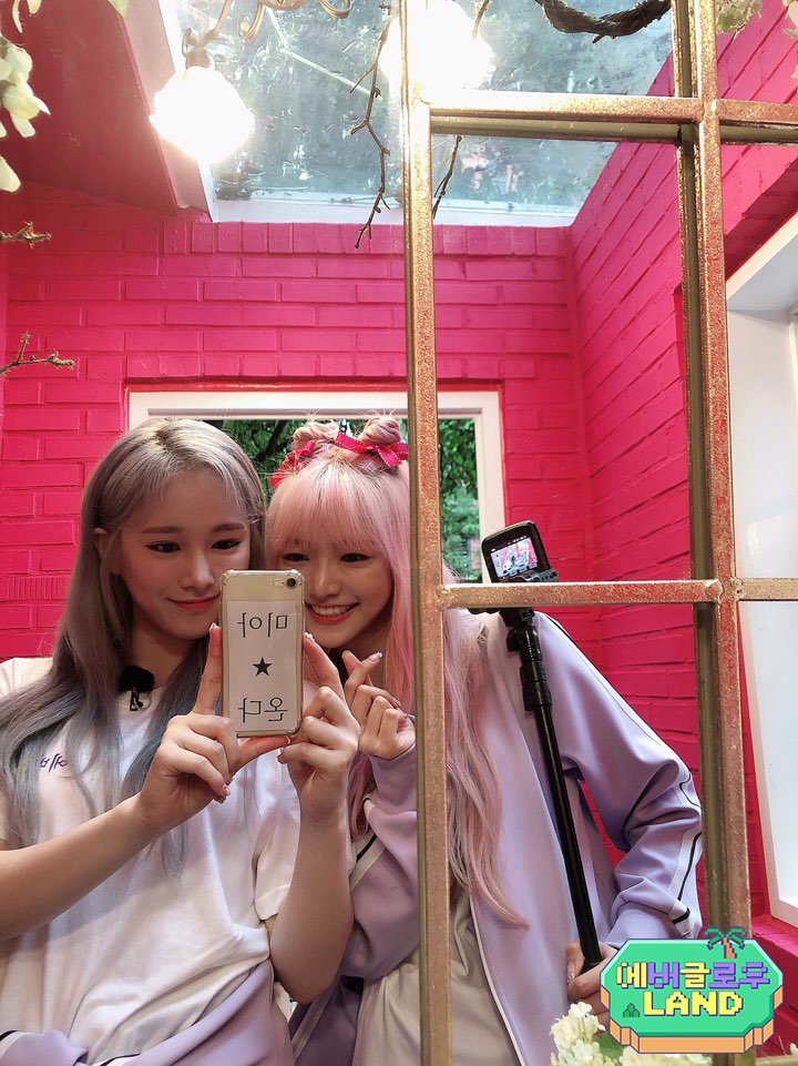 MPD(엠피디) tweet media