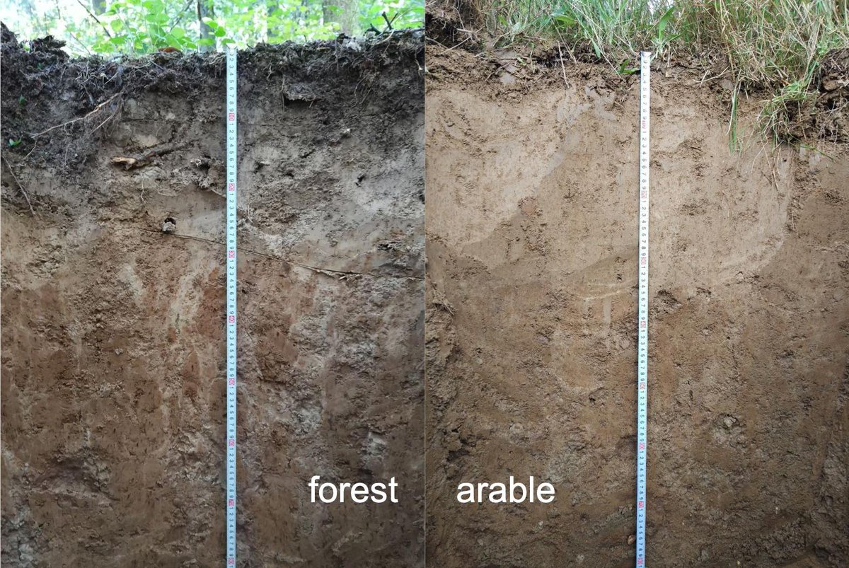 Soil S.P.A.C.E. tweet media