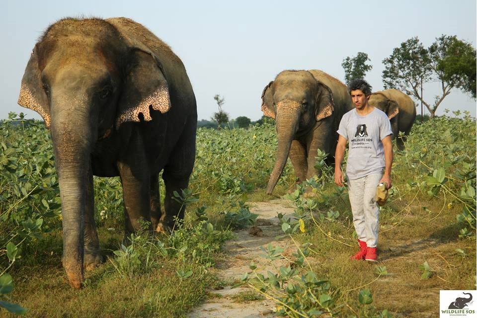 Hashtag Wildlifewarrior Sur Twitter