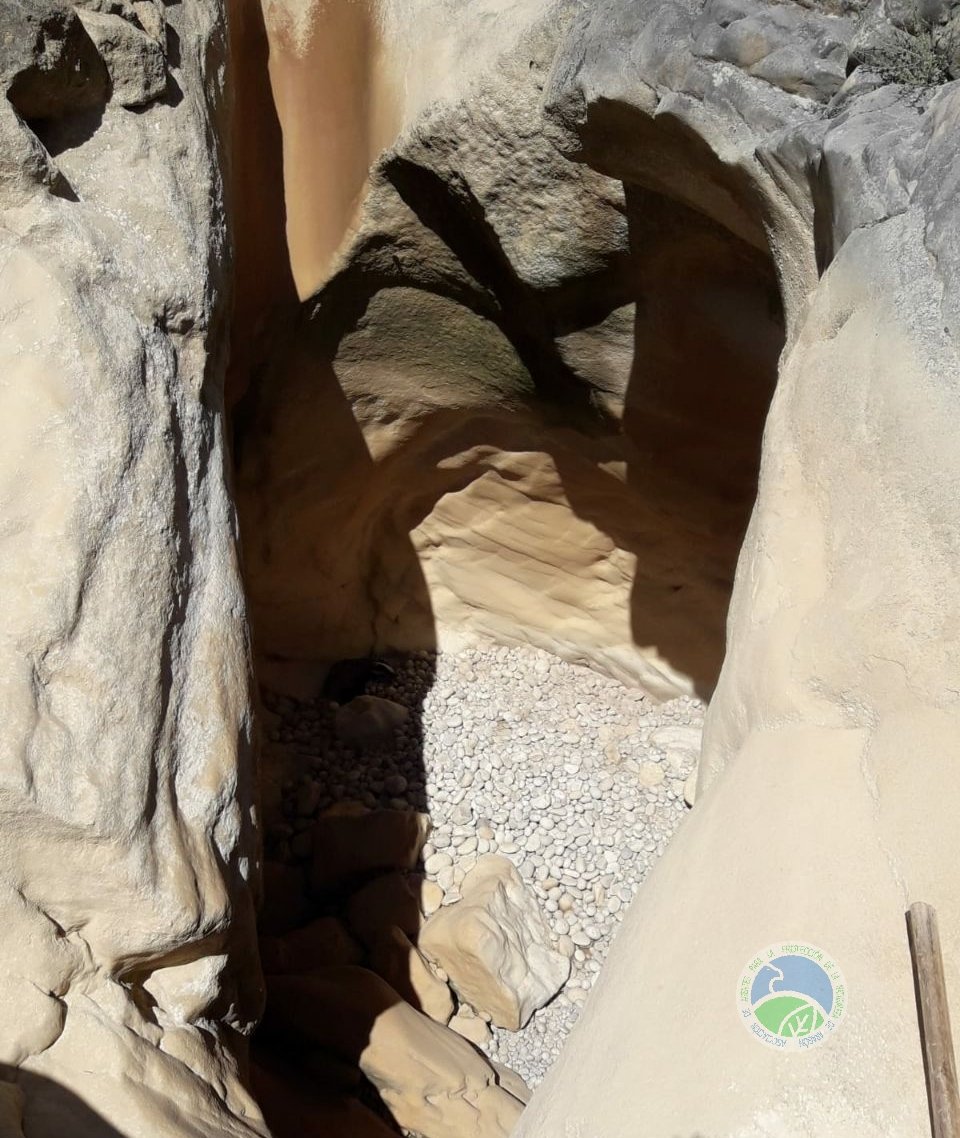 Gracias a la #ColaboraciónCiudadana, #AgentesProtecciónNaturaleza #APN del <a href="/GobAragon/">Gobierno de Aragón</a> rescatan un #Tejón atrapado en la "lavadora" del #BarrancoDelMajo, en Mosqueruela, Te. No presenta heridas y es liberado en el medio natural