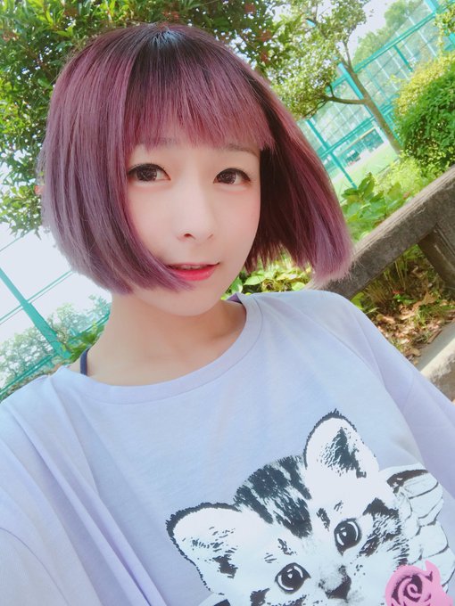 コスプレイヤーモモのTwitter画像35