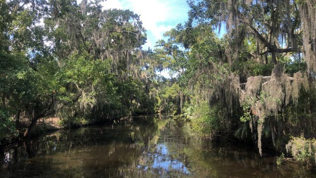 #TravelTuesday New Orleans buff.ly/2ZmGdSU

@TheBloggersPost @creatorshare @BlogNetwork_ @bloggingbeesrt @TheBloggerGals #CreatorsClan @sunshineblogs_ @creatorshare @ukbloggersrt #bloggingfam #TeaCupClub @lazyblogging #thebloggershub #tbloggers @PLBChat @bloglove2018