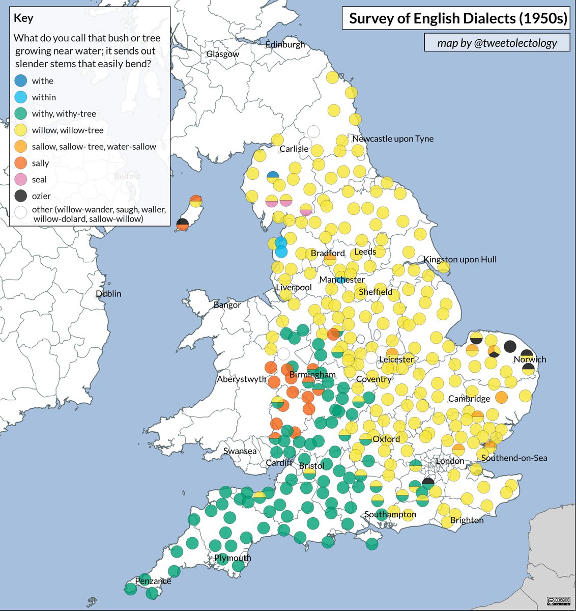 tweetolectology's tweet image. the major division in today&apos;s map is between places where this tree was called &apos;withy&apos; and places it was called &apos;willow&apos; - in places where &apos;willow&apos; referred to the tree, &apos;withy&apos; often referred to cut willow sticks.