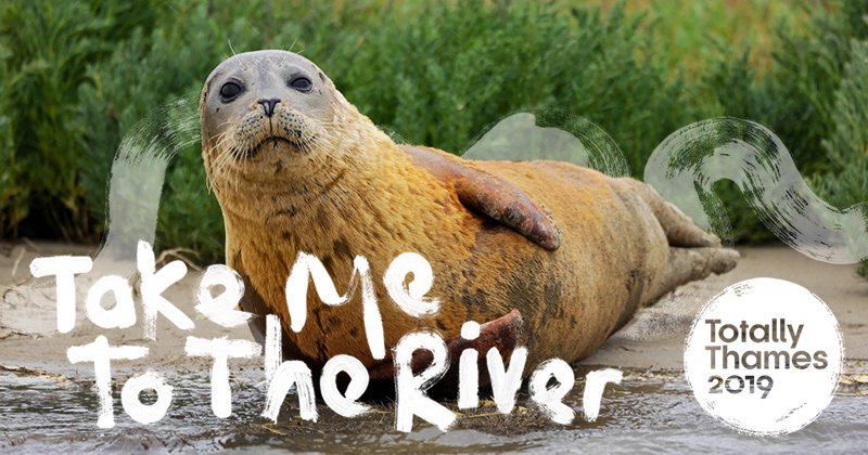TidalThamesSwim's tweet photo. As part of @TotallyThames 2019 Festival we will be running a Tidal Thames Swim session on Tuesday 3rd September 5.30pm. Find out how you can join  here: https://t.co/l9ANgMbbmd
(Please book in advance using the ACTiO app) https://t.co/6XbdbkDkj4