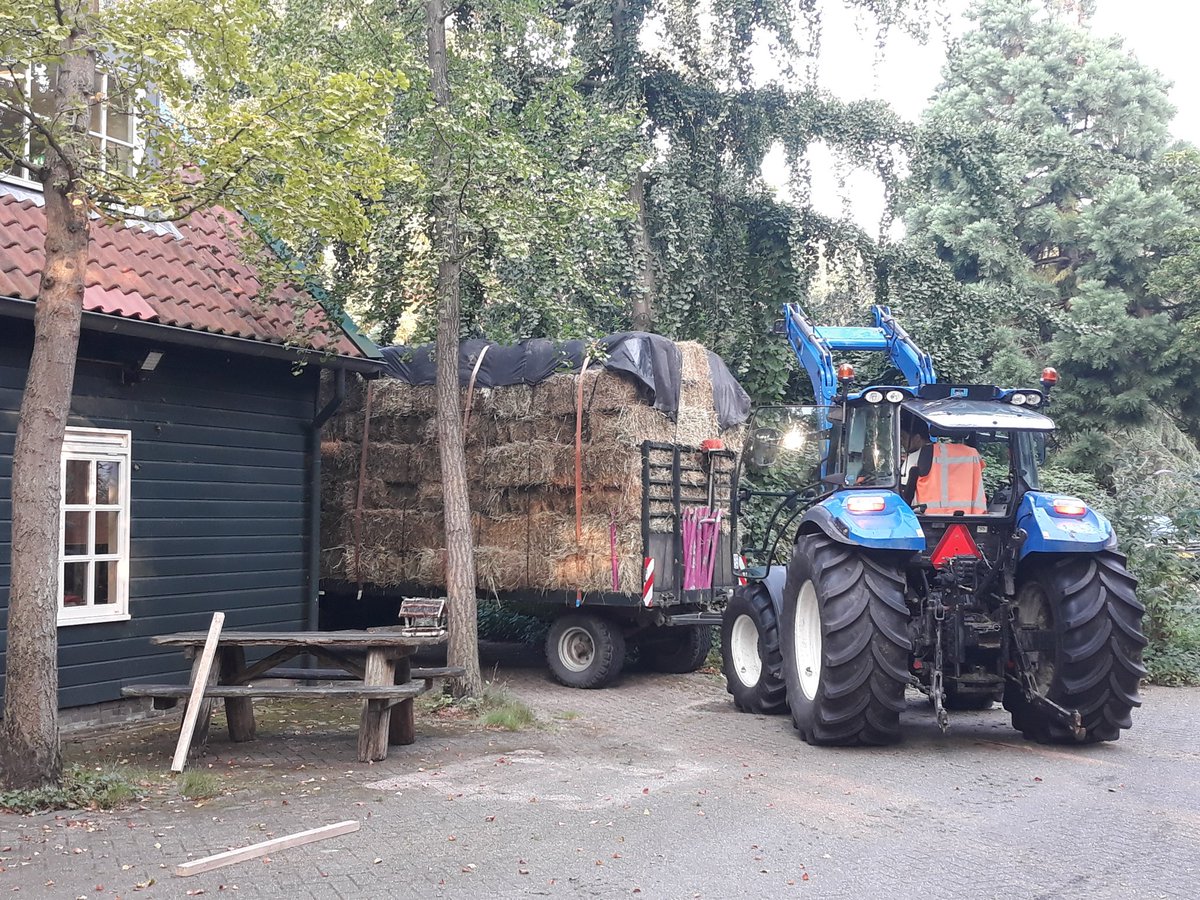 Vers hooi recht van ons landje bij Noordwijk zo de schuur in als voer voor de herten op de #Koekamp. #hooibouw #echtezomergevoel #kortekringloop