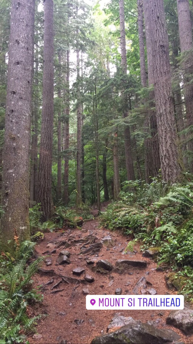boyversusworld's tweet image. Rocky but manageable. #roughstart #uphillclimb #moobsweat #hikingisfun #outdooradventures #adventurers #outdoorguy #mtsi #mountsi #hikingislife #solohike #solohiker #washingtontrails #washingtonstate #gloomyskies #burnsthethighs #hotguysummer #lol #naturephotography #pnwoutdoors