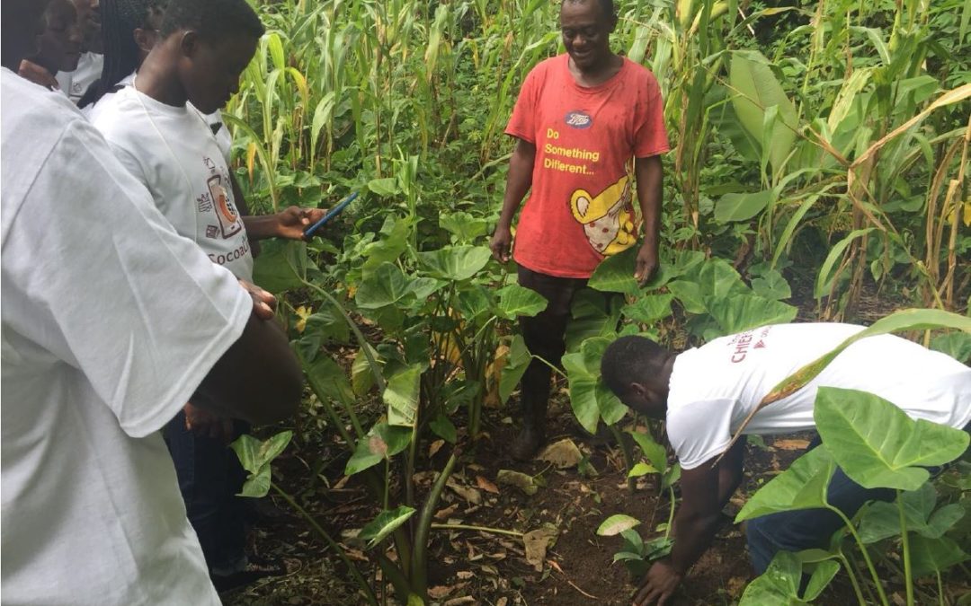 BiovIntCIAT_esp's tweet photo. CIAT collaborates with #CocoaLink to help young farmers mitigate the negative effects of #ClimateChange through digital maps. Continue reading: Preparing Ghanaian cocoa farmers for changing climate conditions. https://t.co/zASUGHDK06 @farmerline @bunn_coffee #CIAT_DAPA https://t.co/yylb1rHdZM