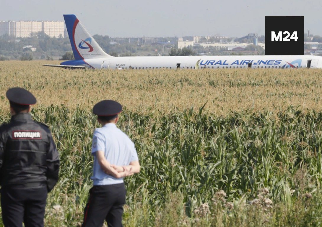 Дети сажают самолет. А321 сел на кукурузное поле. Уральские авиалинии кукурузное поле. А321 Уральские авиалинии кукурузное поле. Посадка на кукурузное поле а 321.
