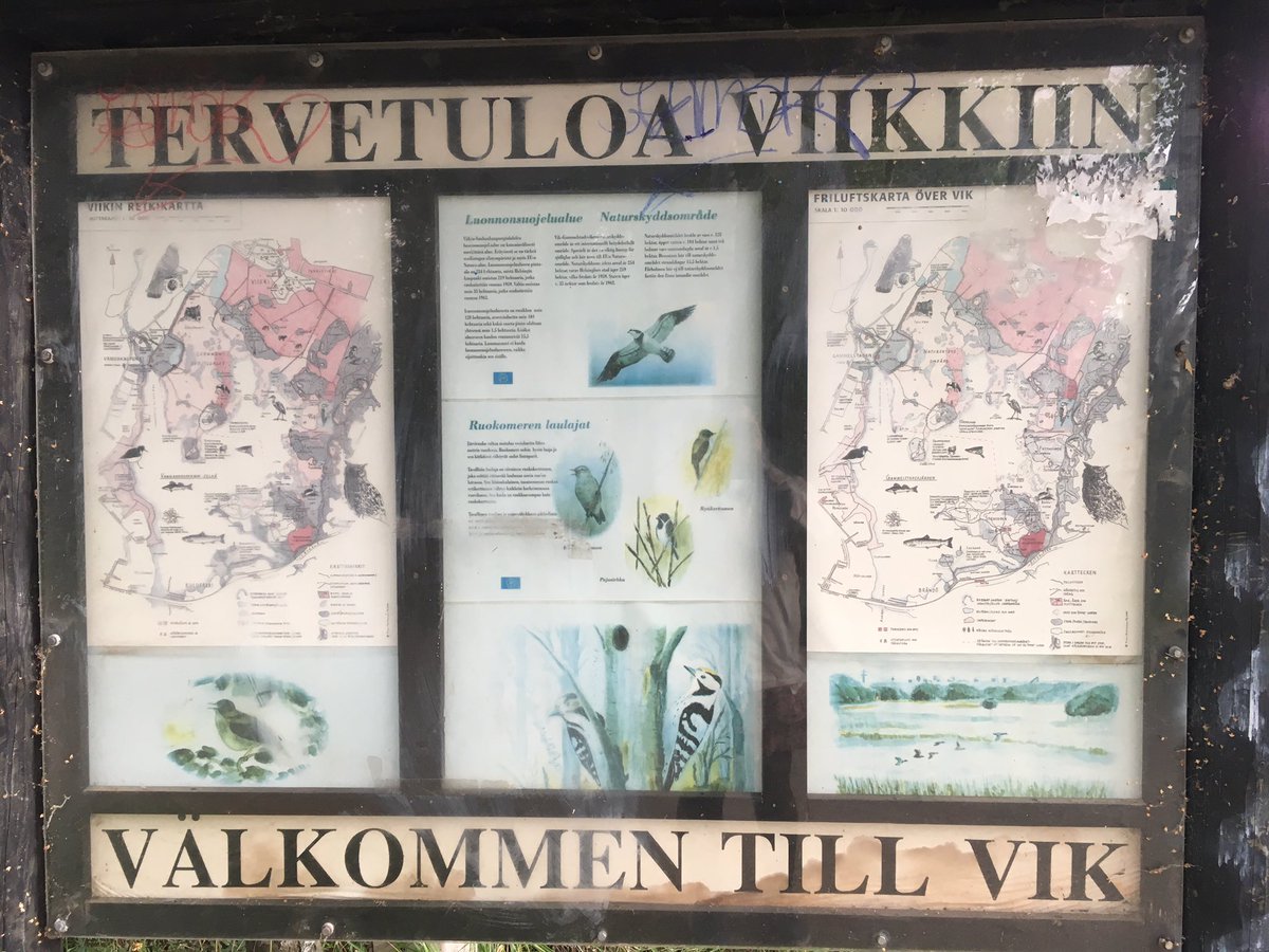GalleryFake4's tweet photo. ヘルシンキの鳥見サイト、Viiki
ヘルシンキ大学Viikiキャンパス内の森林もあるので、シギチ、カモに加え草原や森の鳥も見ることが出来ます🕊
#野鳥
#ヘルシンキ
#Viiki https://t.co/qwZsRxSKVD