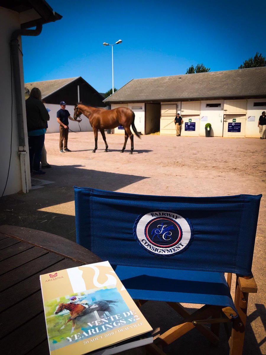 Fairway Consignment is ready for inspections at <a href="/InfoArqana/">ARQANA</a> ! Olendon (picture on the catalogue’s cover) was sold by Fairway two years ago before being placed at Group 1 level in the Prix Saint Alary this year. Come and visit us yard C !