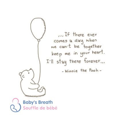 Baby's Breath tweet media