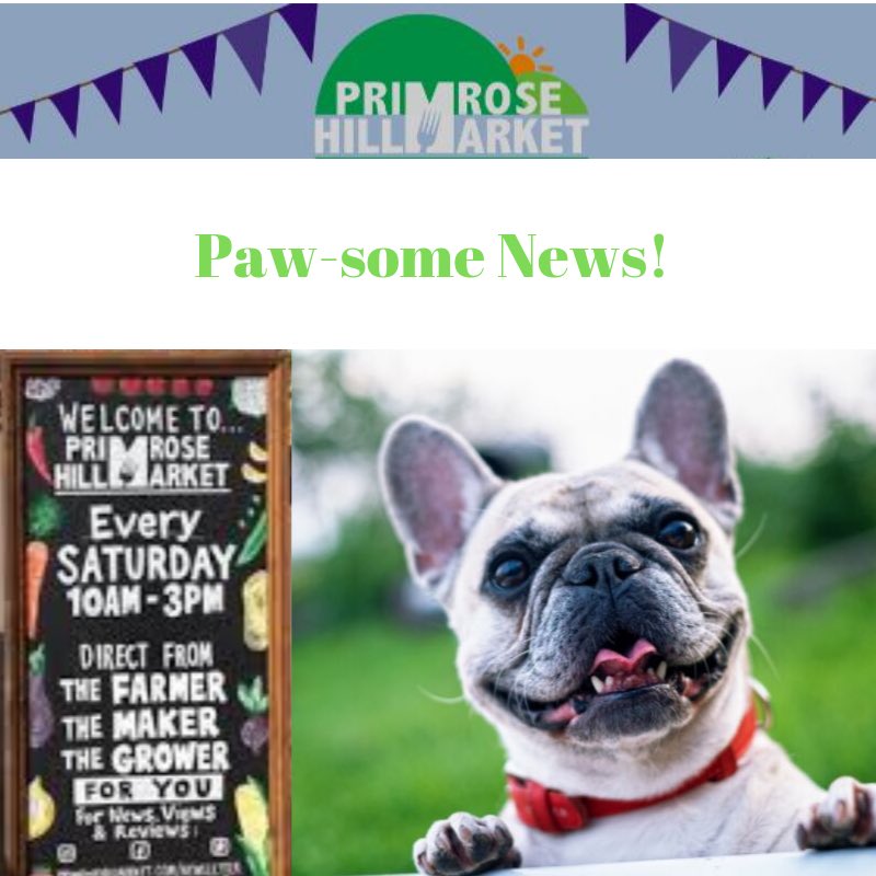 AmaroqOrganic's tweet photo. BIG NEWS! Weโre selling our paw-some packages of organic meaty goodness at #PrimroseHillMarket every Saturday in September!! Weโll be there 10AM-3PM, so come on by to get your very own Amaroq #MeatBites. ๐ถ ๐พ https://t.co/uNeAnOjjYK