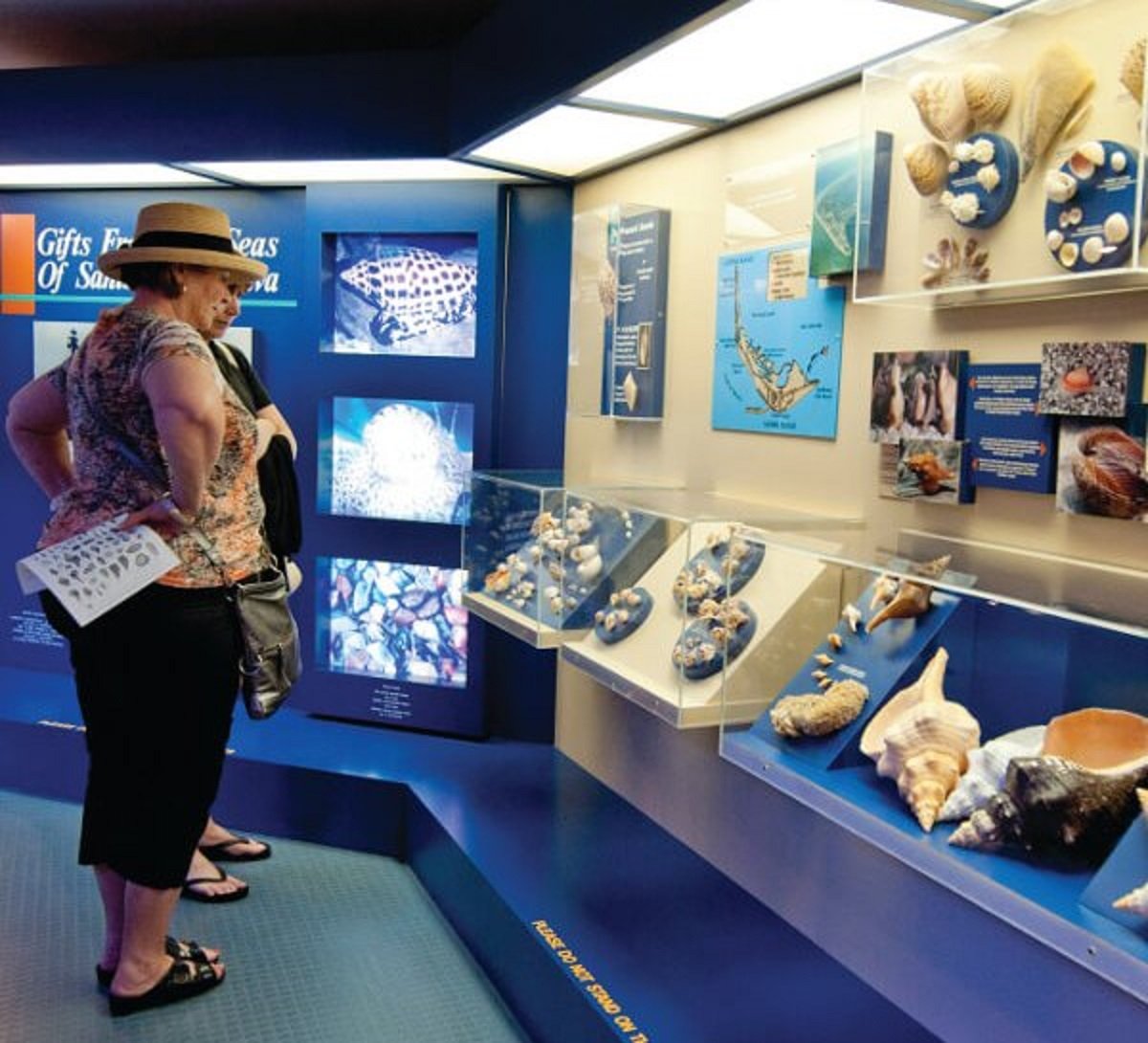 oceansreach's tweet photo. Visit one of the most unique museums in the country while on Sanibel!
https://t.co/hyP4WUJ4yl
#Sanibel #OceansReach https://t.co/XqwcBh9SFi
