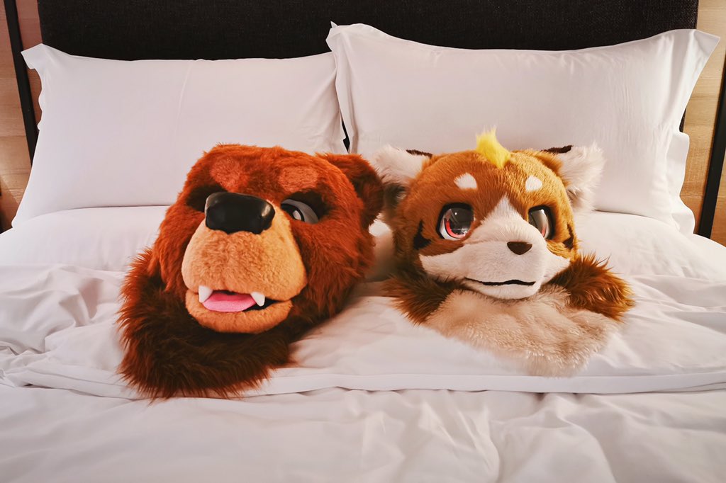 Mouffybear's tweet image. 回酒店了！20分钟后直播开始！ 直播地址 live.bilibili.com/h5/5274546 #FSM2