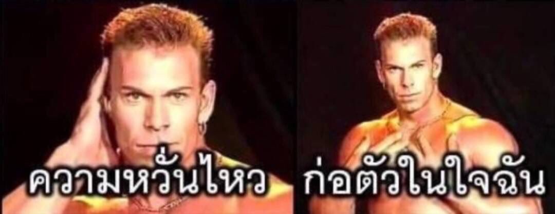 @memeTH tweet media