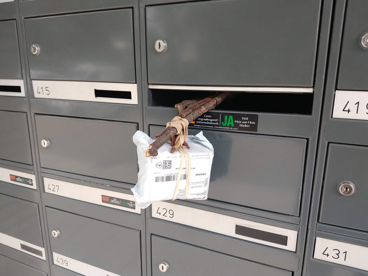 Tiny Tokens tweet media