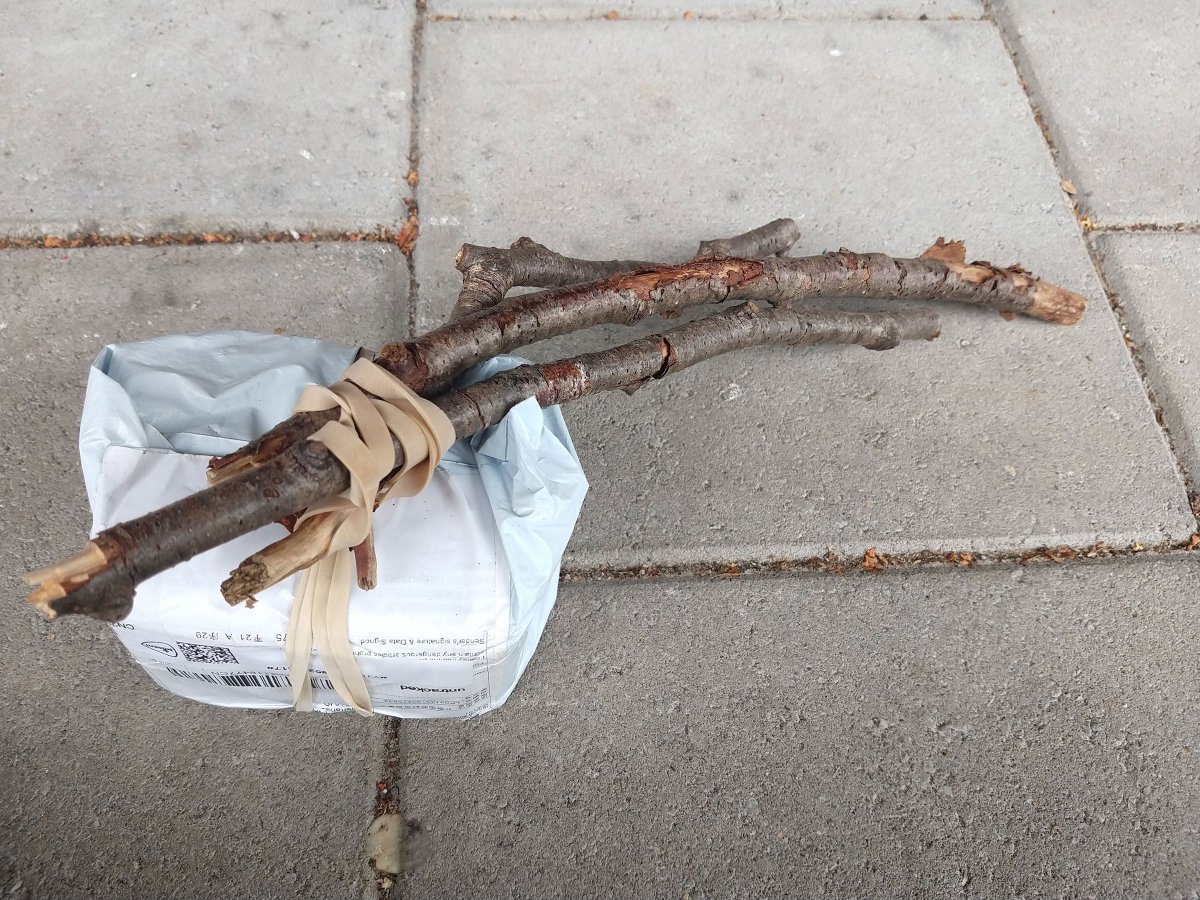 Tiny Tokens tweet media