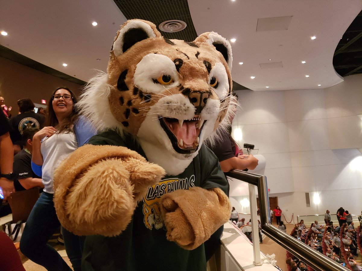ReginaRenteria's tweet photo. Las Palmas Bobcat in the house! #EdgewoodUNITED #Convocation2019 #LPEPawsUp https://t.co/r74p1GoGe4