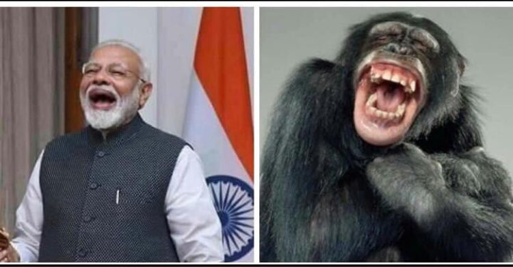 AdilAruba's tweet photo. Modi has two brain#15AugustBlackDay https://t.co/O49y4YUEqv