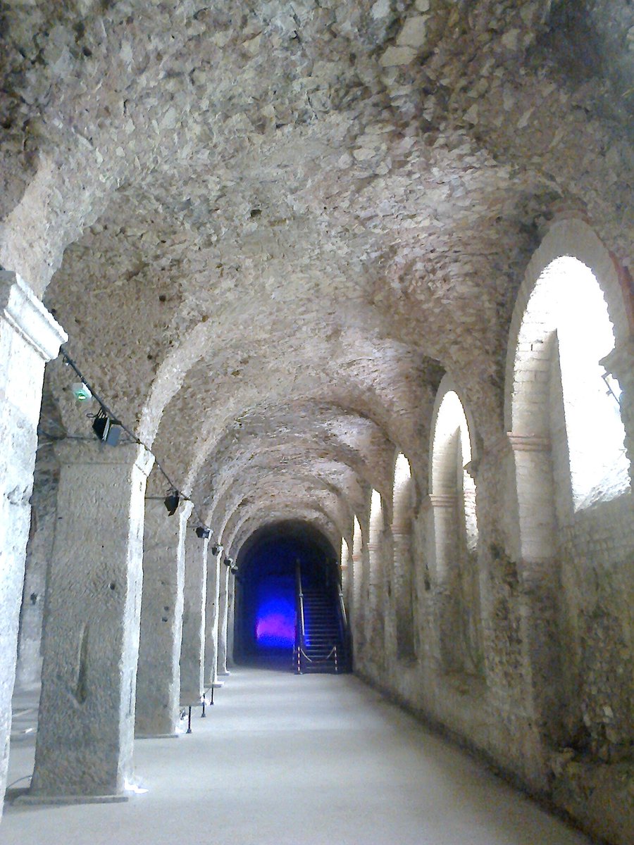 RomArchable's tweet photo. The #cryptoporticus beneath the French city of #Reims, essentially the basement of the Forum which once stood in the centre of the #Roman town
#RomanArchaeology #Archaeology #RomanFrance #RomanEmpire #Romans https://t.co/yqOB65Ql3Q
