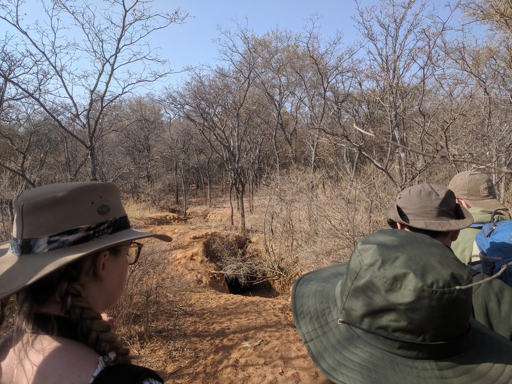 AshfordScoutsSA's tweet photo. Hyena Den #SA2019 🇿🇦 https://t.co/CIqXZ2N8sr