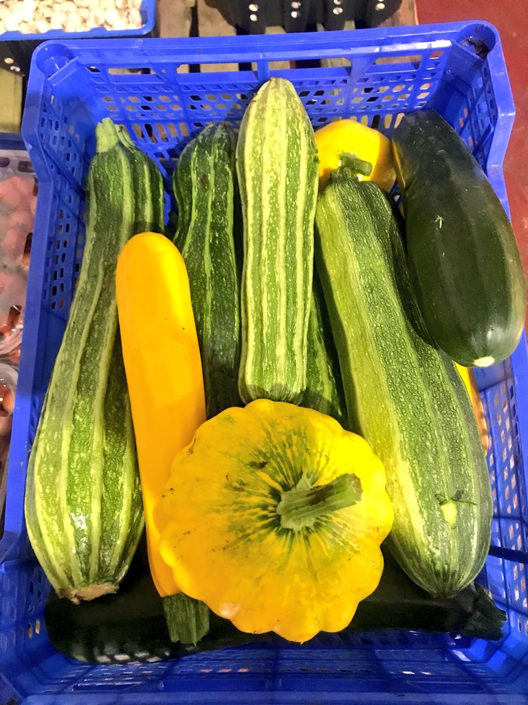 jtattshotmailc1's tweet photo. Those absolute beauties from @WarrenstownF are just a phone call away. https://t.co/2dVDDmGO7t