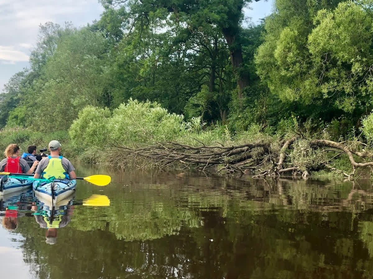 tours_perth's tweet photo. BEAVERS BACK ON THE TAY..🌳

With over 100 settlements along the River Tay, beavers are back living along the river. We regularly see them on our Wildlife Safaris..😁

WHY NOT JOIN US?  ➡ https://t.co/uHI6Dp9MXJ

#HistoricPerth #WildlifePerth #RiverTayPerth #PerthCityTours https://t.co/wF8msDTgtU