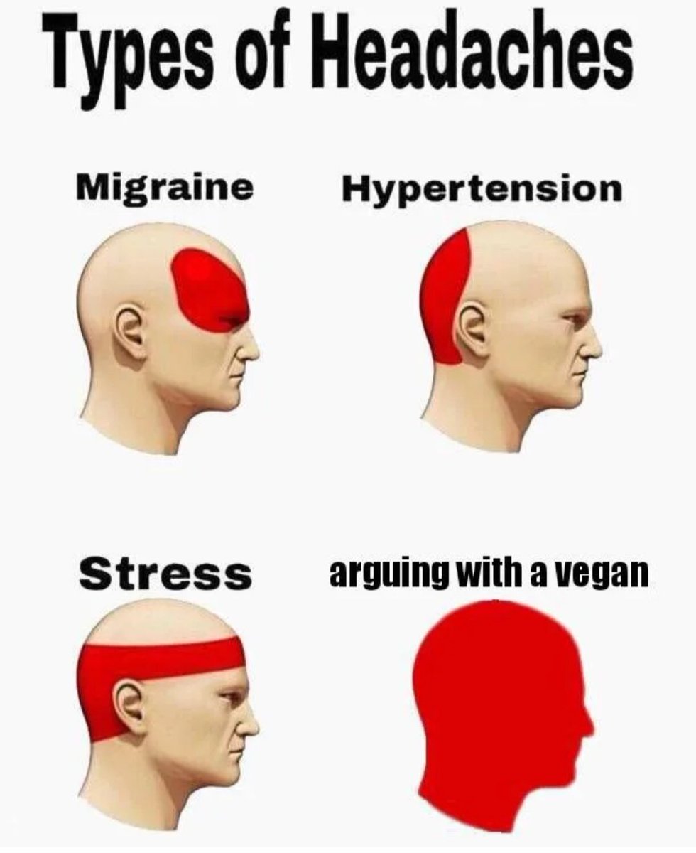 GenzoBull's tweet photo. @pinarvegan https://t.co/UxJcIfdVqY