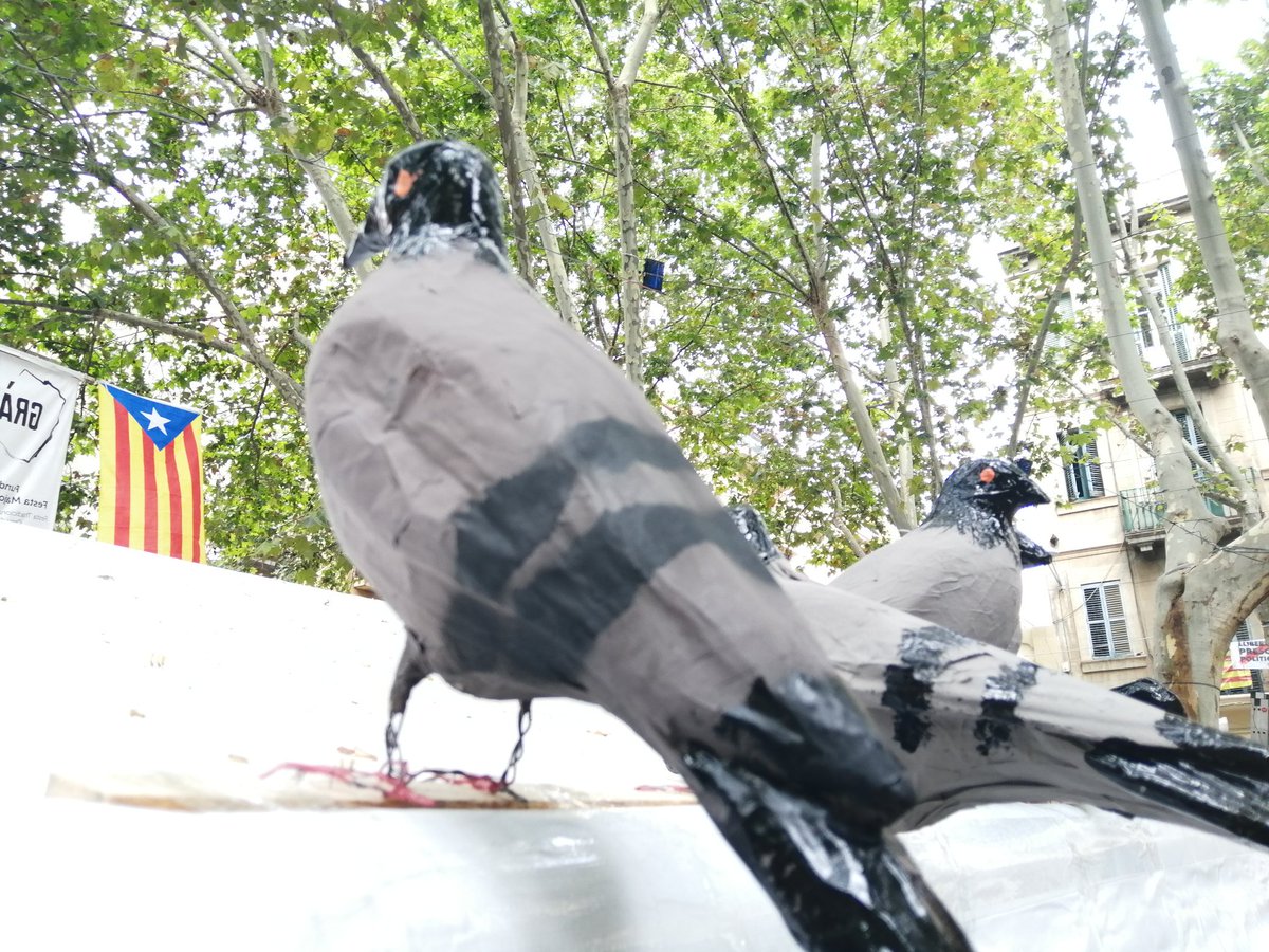 serieBCN's tweet photo. Carrers guarnits de la Festa Major de Gràcia 2019 #festamajorgràcia2019 #festesdegracia2019 #barcelona https://t.co/0KXJat40P9