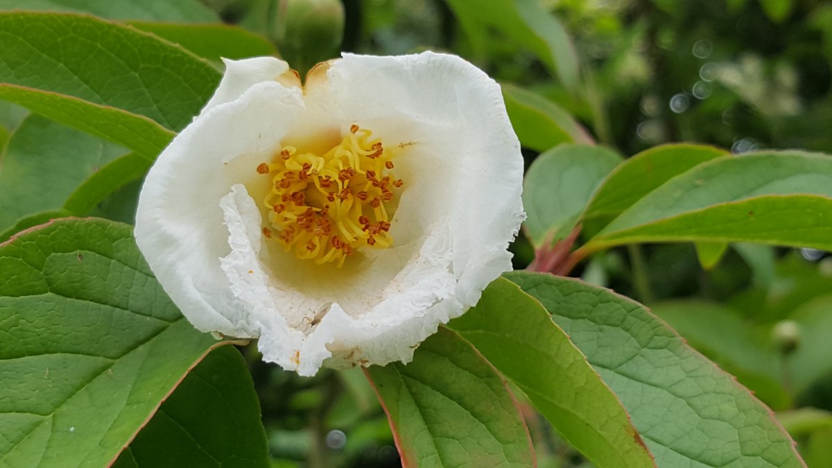Did you know that it's #NationalRelaxationDay? Why not go for a lovely stroll in the Valley Gardens to take some time to soak up nature's relaxing qualities?