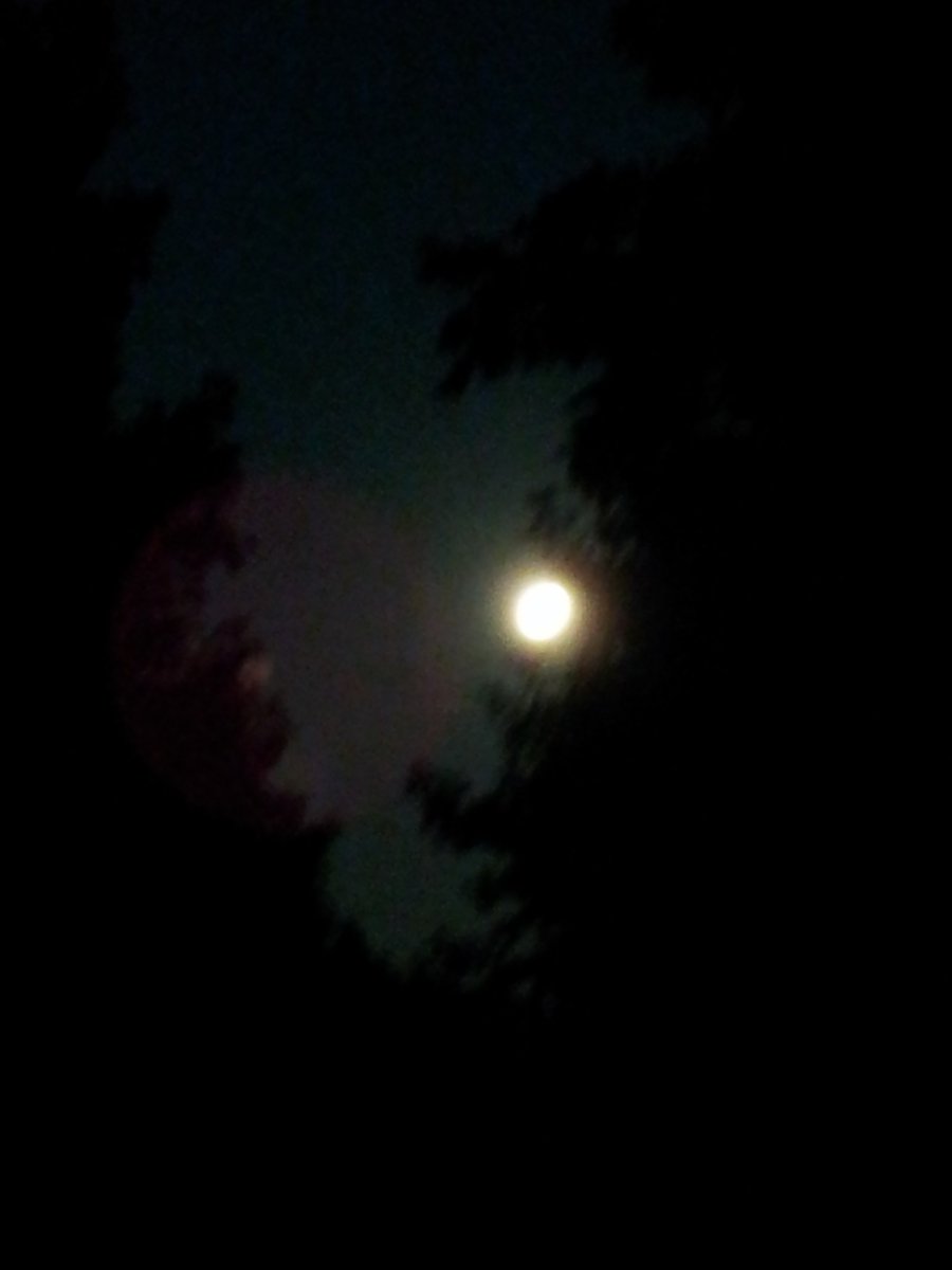kalosharon's tweet photo. @JDarensbourgWx 5:15AM Thu Aug 15, 2019 Gum Springs Rd area of Mon Co WV https://t.co/1QbqQG7Weh