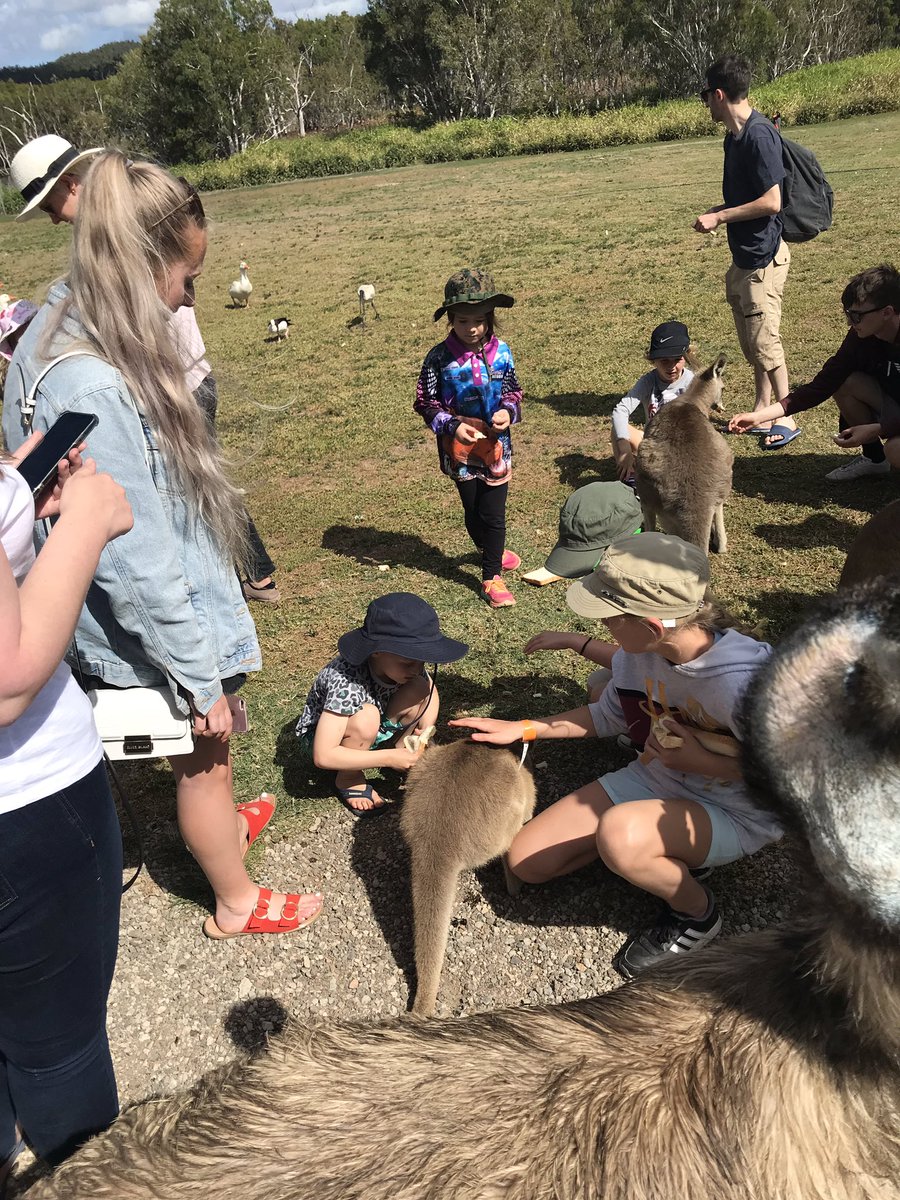 anneyjennings's tweet photo. Bredls Farm @WhitsundaysQLD
#PlanetOffersSnaps https://t.co/W0C2dfoW9K