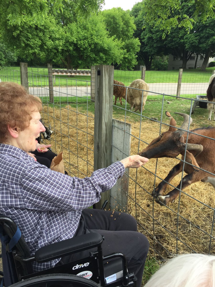 OrchardGroveHC's tweet photo. Our residents enjoyed a visit to Frontier Town and fed the animals! @TrilogyLiving #FrontierTown #FunTimes #FunWithFriends #SimpleSummerPleasures https://t.co/Uw7tBXo4gg