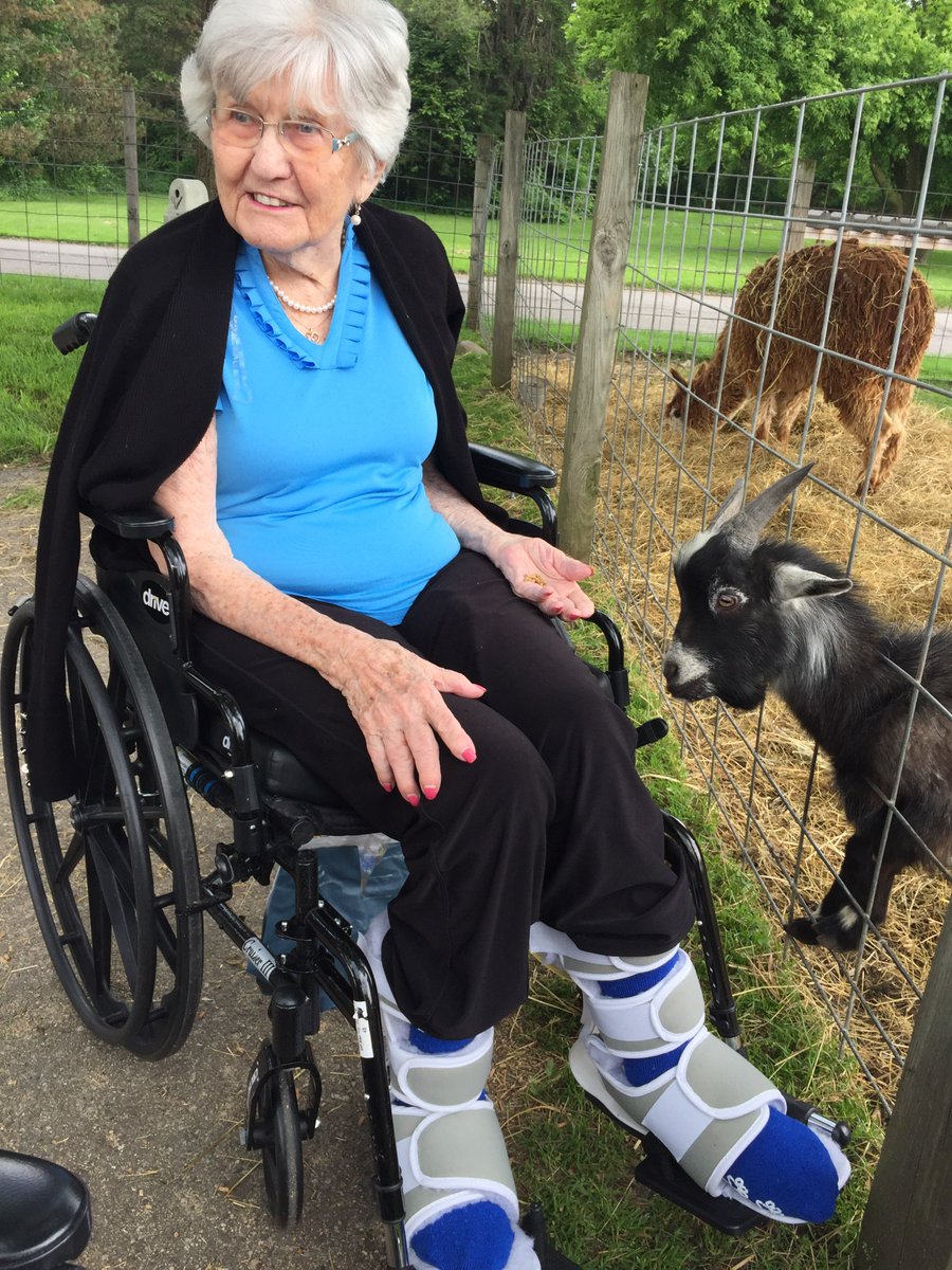 OrchardGroveHC's tweet photo. Our residents enjoyed a visit to Frontier Town and fed the animals! @TrilogyLiving #FrontierTown #FunTimes #FunWithFriends #SimpleSummerPleasures https://t.co/Uw7tBXo4gg