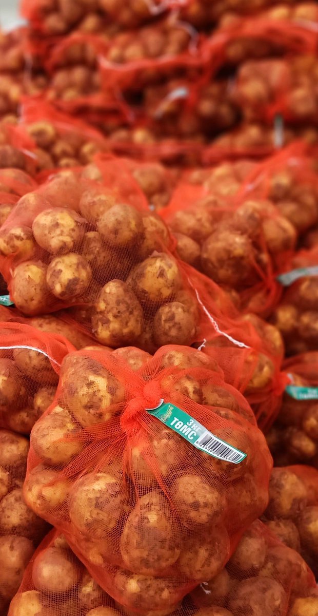 Заа одоо бол бүх төрлийн ногоо гарлаа. Байцаа, сармис, эрдэнэ шиш, лууван, хүрэн манжин, улбар манжин, шар манжин, вандуй, төмс гэх мэт. Маргааш цирк дээр үзэсгэлэн гарах юм байна лээ. Би Сэлэнгэдээ л байгаа. Хураагаад явуулаад байя. Амтархан зооглоорой 🙂