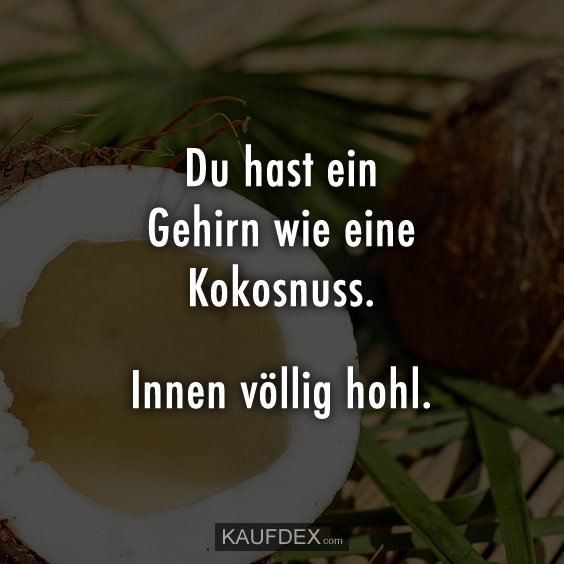 Kaufdex On Twitter Du Hast Ein Gehirn Wie Eine Kokosnuss
