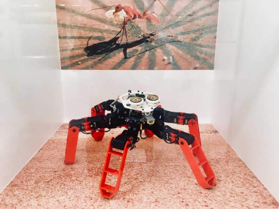 museedesologne's tweet photo. Robots, drones et maquettes sont visibles à l'exposition "S'inspirer du vivant : le biomimétisme de Léonard de Vinci à nos jours". Découvrez ici AntBot, le robot fourmi du CNRS de Marseille ! 🐜 #JeudiPhoto #VivadaVinci2019 https://t.co/qG0n7vvSpp