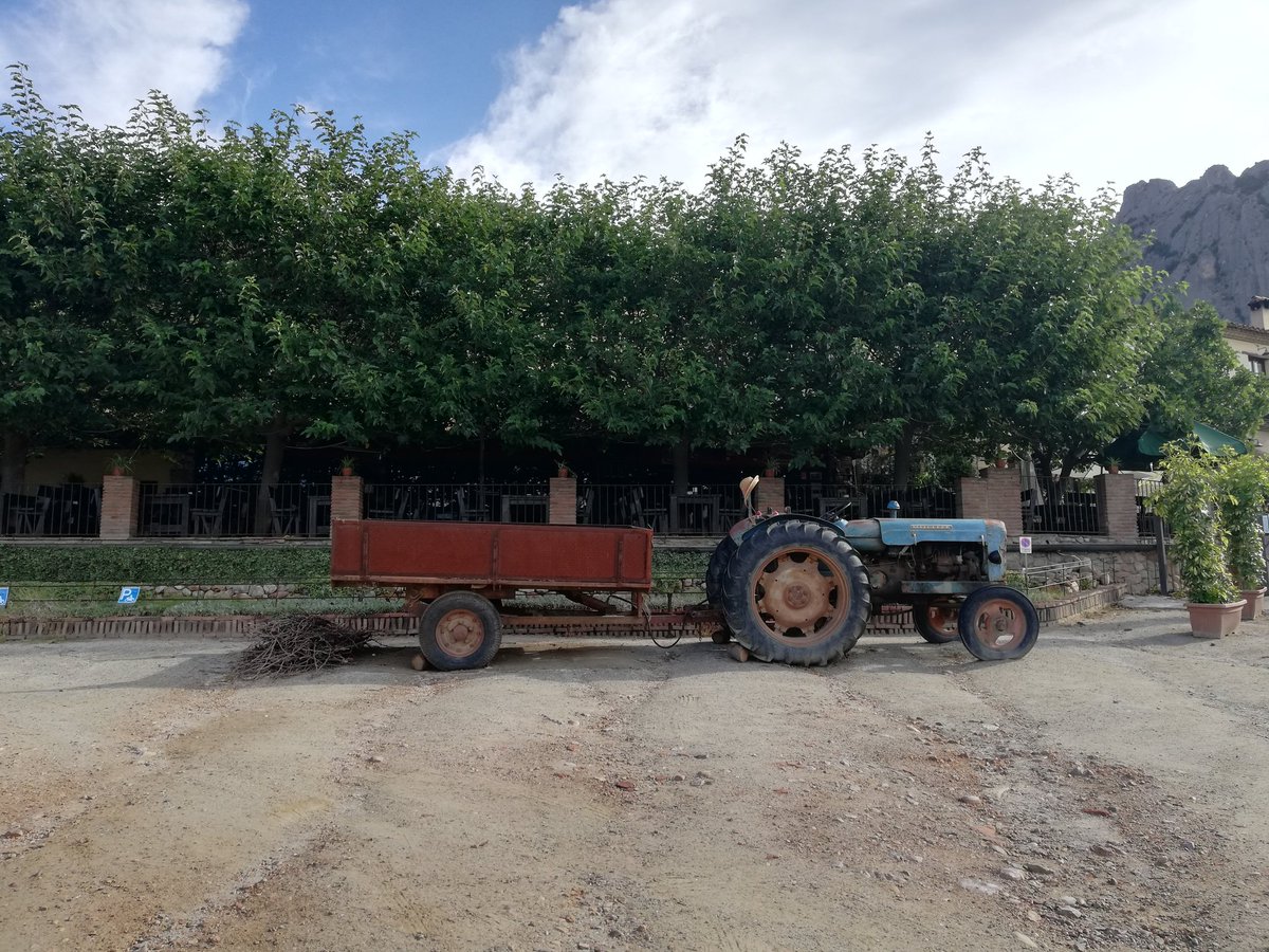 MaryPoloMartin1's tweet photo. Entre olivos🌳 y Montserrat siempre a la vista #senderismo🚶♀️🚶♂️ #elbruc #montserrat #vinyanova #vidasana Caminamos? https://t.co/KrS6w0lmHd