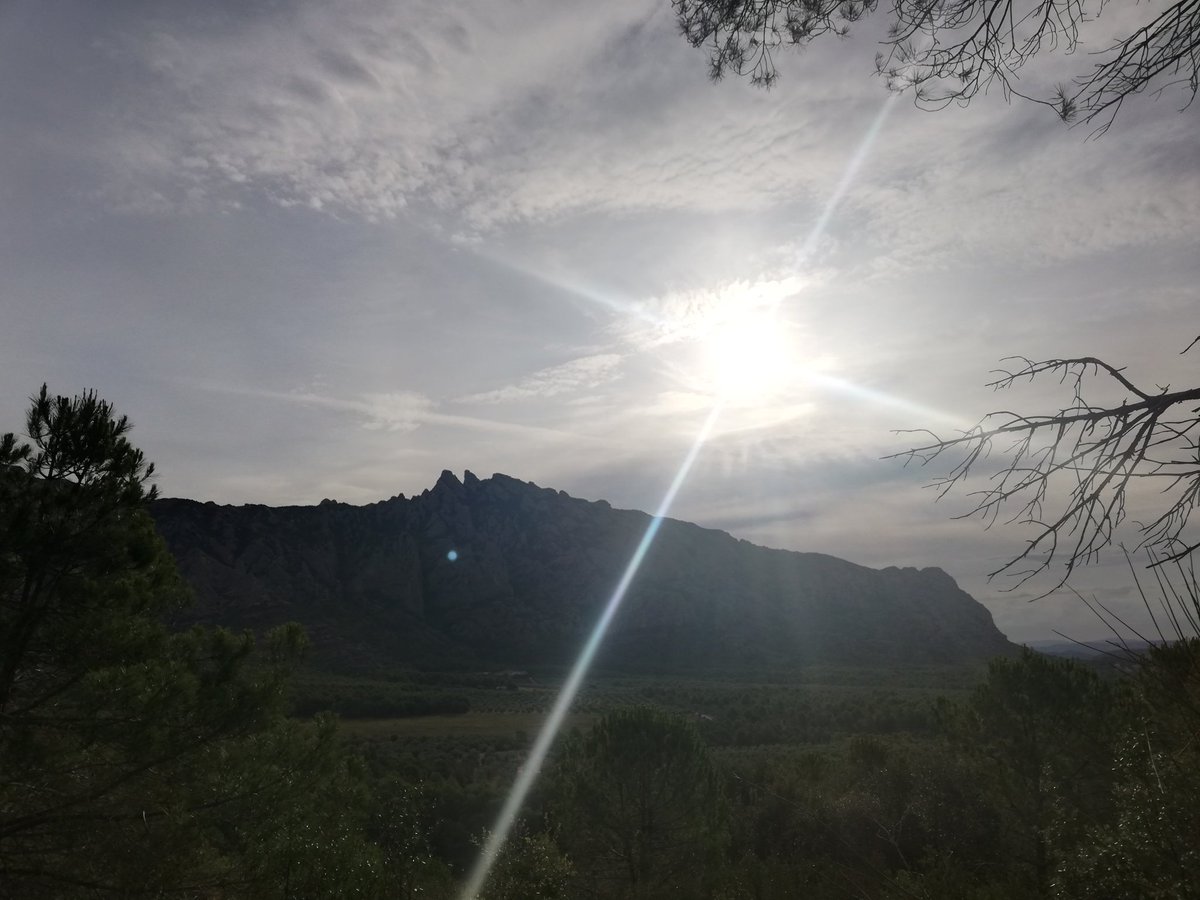MaryPoloMartin1's tweet photo. Entre olivos🌳 y Montserrat siempre a la vista #senderismo🚶♀️🚶♂️ #elbruc #montserrat #vinyanova #vidasana Caminamos? https://t.co/KrS6w0lmHd