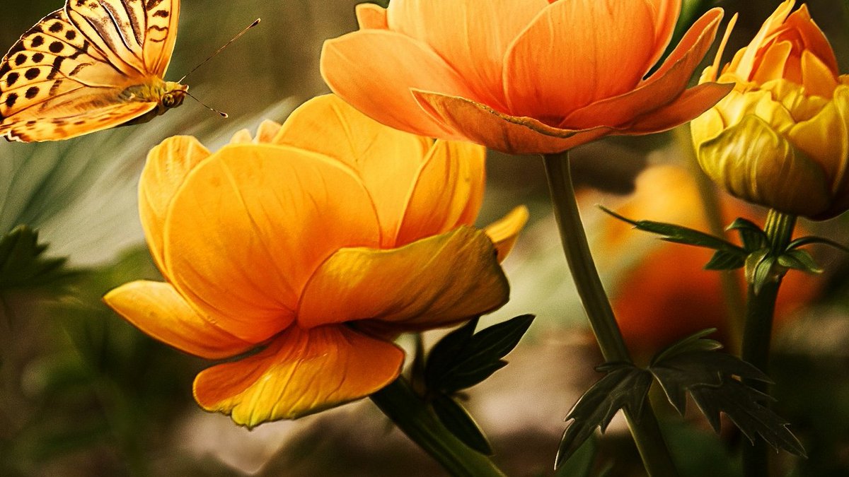 How healthy is your home? movingandimproving.co.uk/blog/healthy-a… 
#HealthyLiving #sustainableLiving