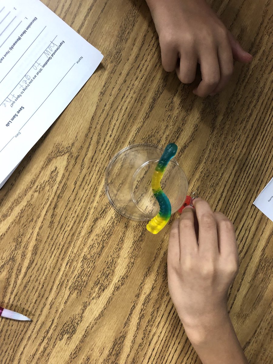 5Dibert5's tweet photo. Can you save Sam using only 4 paper clips? His boat capsized and his life jacket got stuck under the boat! #habit6 #stem #synergize https://t.co/udeHvuJ1Kx