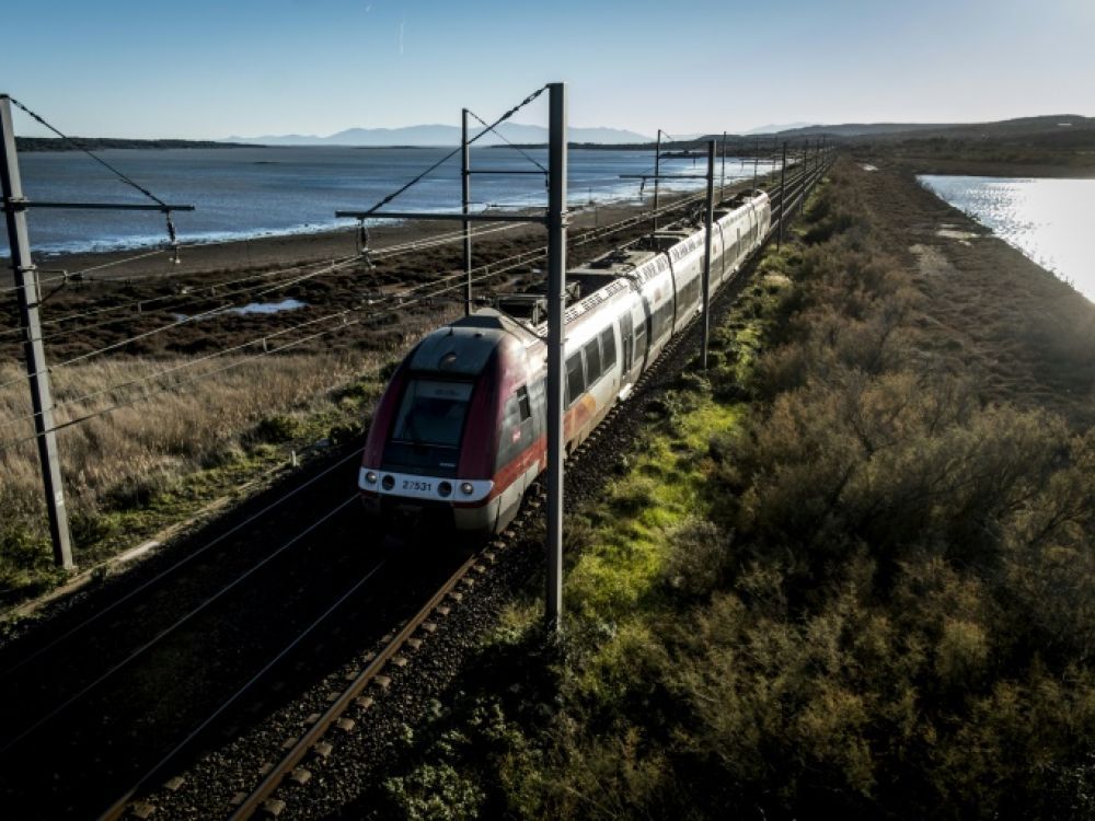 Bioeven_'s tweet image. sciencesetavenir.fr/nature-environ…