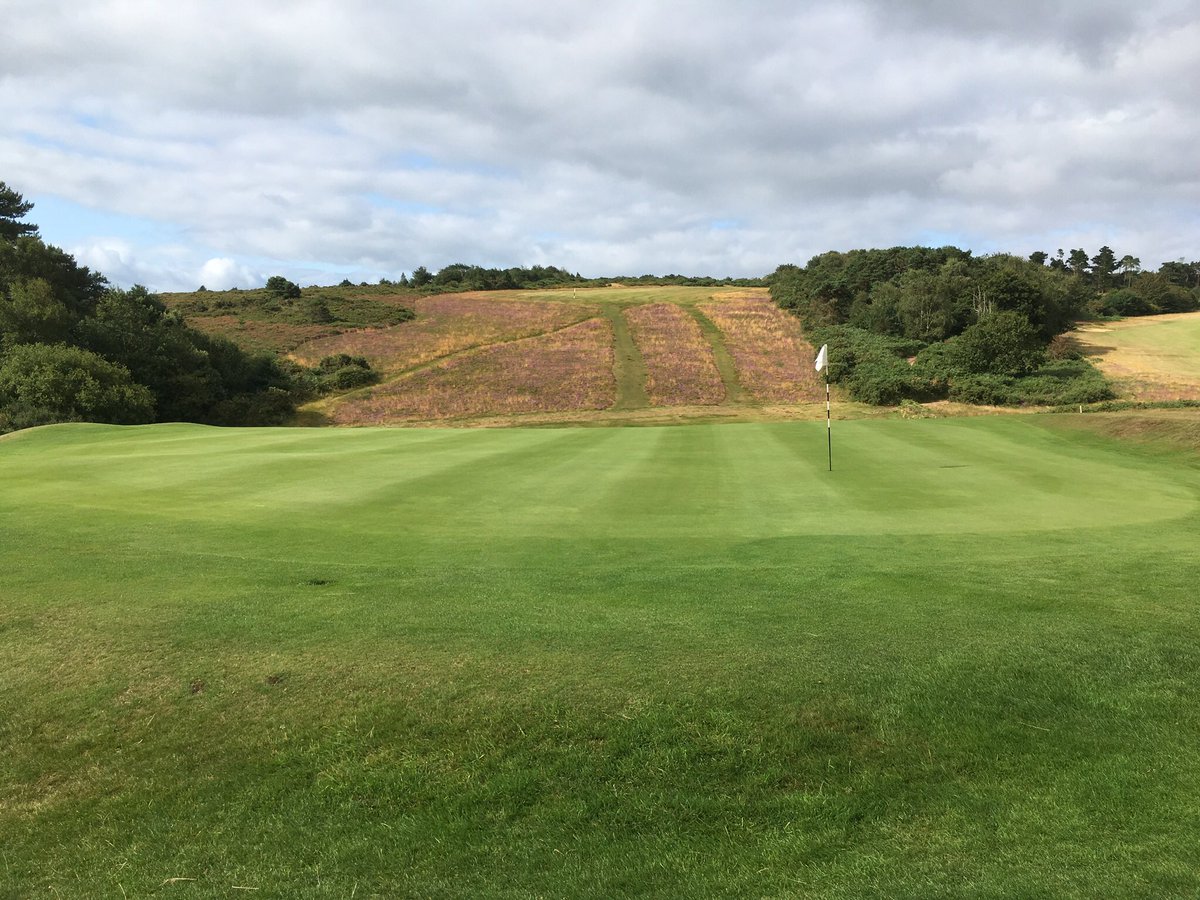 Ladies Open Team Event here today. Greens are stimping at just over 10 and the heather is looking magnificent 👌☀️